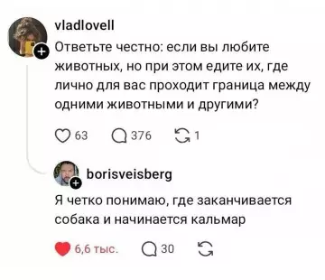 Где кончается собака и начинается кальмар? 🐙🐕 - vladlovell: Ответьте честно: если вы любите животных, но при этом