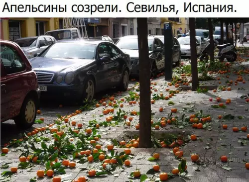 Смешная картинка №189641
