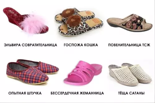 Смешная картинка №732369 Виды обуви женщины