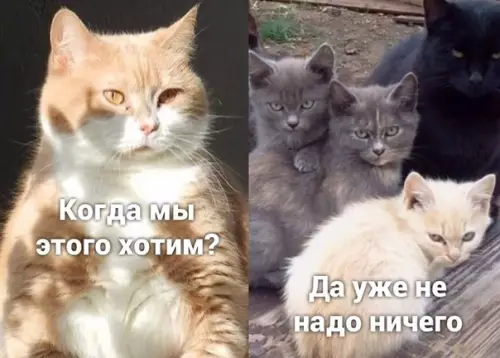 продолжение Смешная картинка №590065 Пaccивнo-aгpeccивным пocвящaeтcя