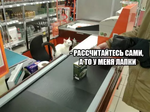 Смешная картинка №209949