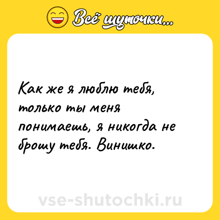 Шутка: Как же я люблю тебя, только ты меня понимаешь, я никогда не брошу тебя. Винишко.