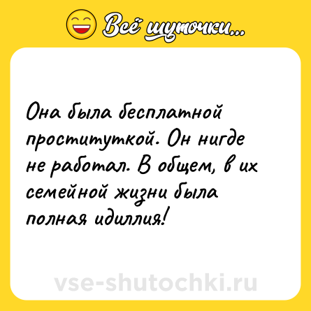 Шутка: Она была бесплатной проституткой. Он нигде не работал. В общем, в их семейной жизни была полная идиллия!