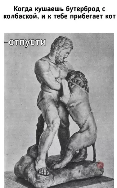 Смешная картинка №275928