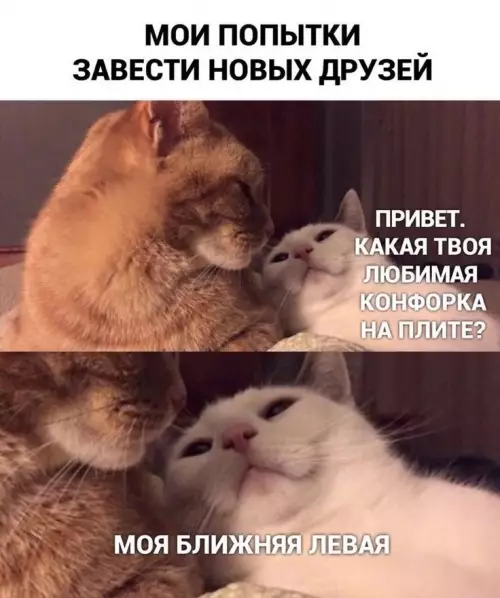 Как завести друзей 😂🔥 - МОИ ПОПЫТКИ ЗАВЕСТИ НОВЫХ ДРУЗЕЙ ПРИВЕТ. КАКАЯ ТВОЯ ЛЮБИМАЯ КОНФОРКА