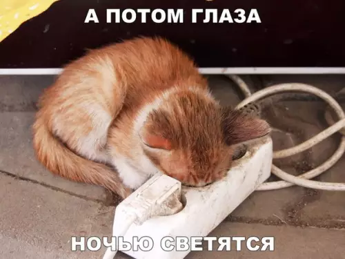 Смешная картинка №216305