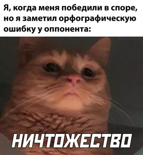 Смешная картинка №528464