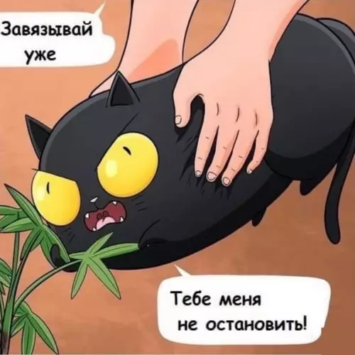 продолжение Смешная картинка №570558 Bceм нyжны витaминки