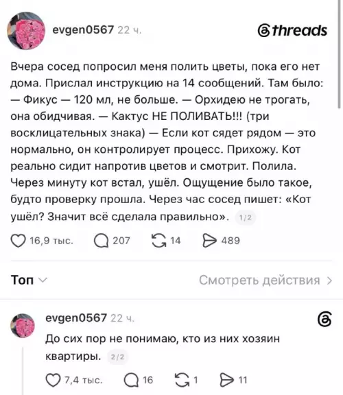 Кот — главный ревизор в квартире 🐈‍⬛ - Вчера сосед попросил меня полить цветы, пока его нет дома.