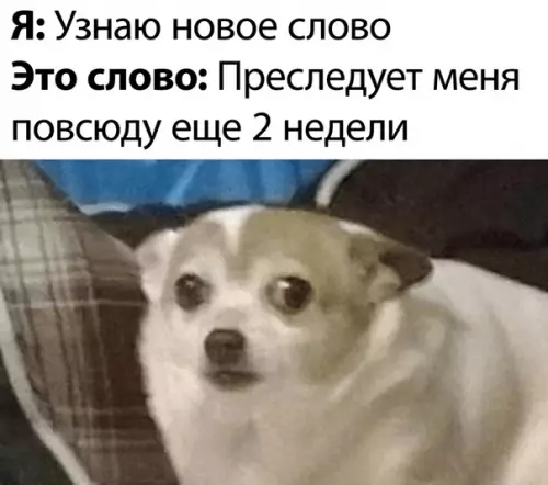 Смешная картинка №506025