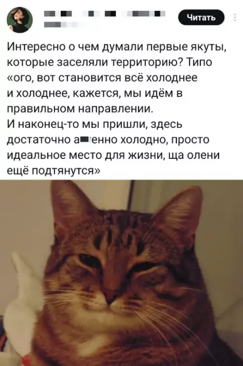 Смешная картинка №774976 Отлично