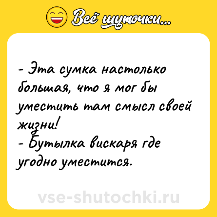 Шутка: - Эта сумка настолько большая, что я мог бы уместить там смысл своей жизни!<br>- Бутылка вискаря где угодно уместится.