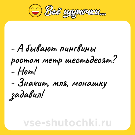 Шутка: - А бывают пингвины ростом метр шестьдесят?<br>- Нет!<br>- Значит, мля, монашку задавил!