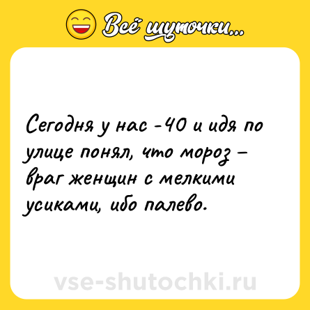 Шутка: Сегодня у нас -40 и идя по улице понял, что мороз – враг женщин с мелкими усиками, ибо палево.