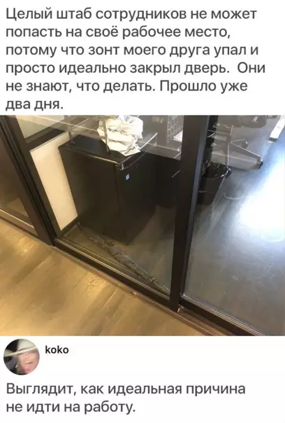 Смешная картинка №549963 работа