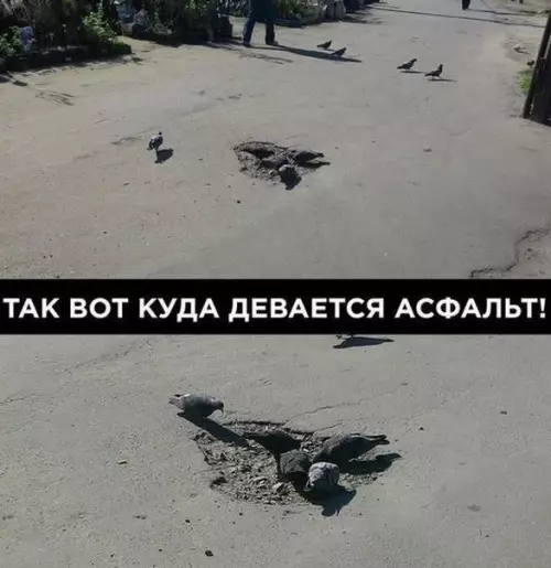 Смешная картинка №381683