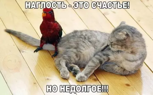 Смешная картинка №309416