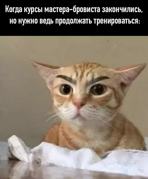 Смешная картинка №587394