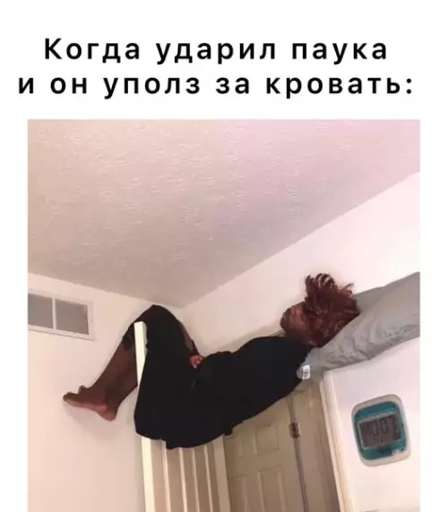 Смешная картинка №579765