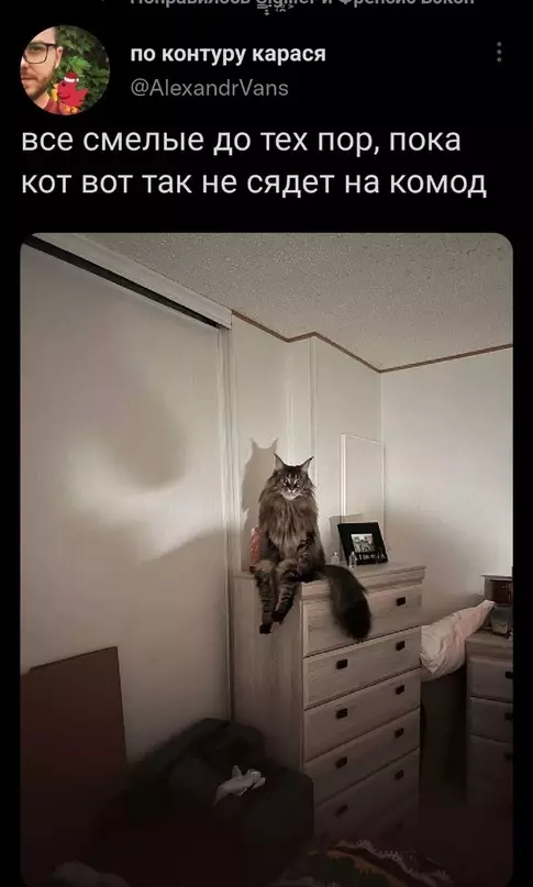 Смешная картинка №670324