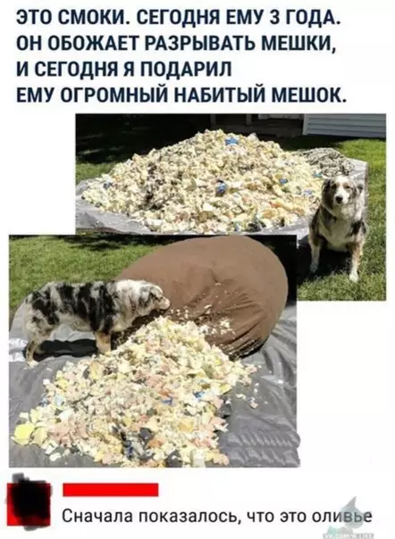 Смешная картинка №318867