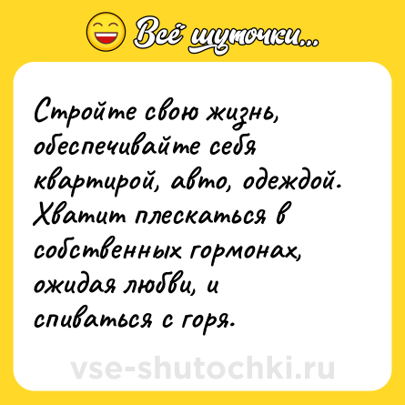 Шутка: Стройте свою жизнь, обеспечивайте себя квартирой, авто, одеждой. Хватит плескаться в собственных гормонах, ожидая любви, и спиваться с горя.