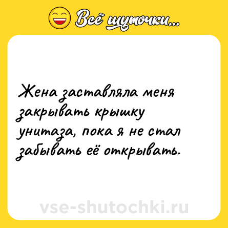 Шутка: Жена заставляла меня закрывать крышку унитаза, пока я не стал забывать её открывать.