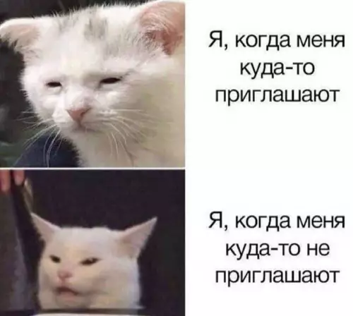 Смешная картинка №716076
