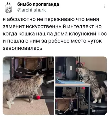 Смешная картинка №764851