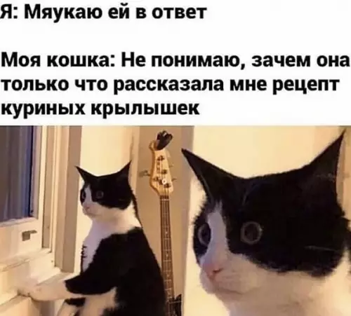 Смешная картинка №487935