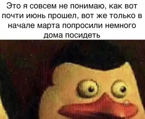 Смешная картинка №502339 Тоже не понял...
