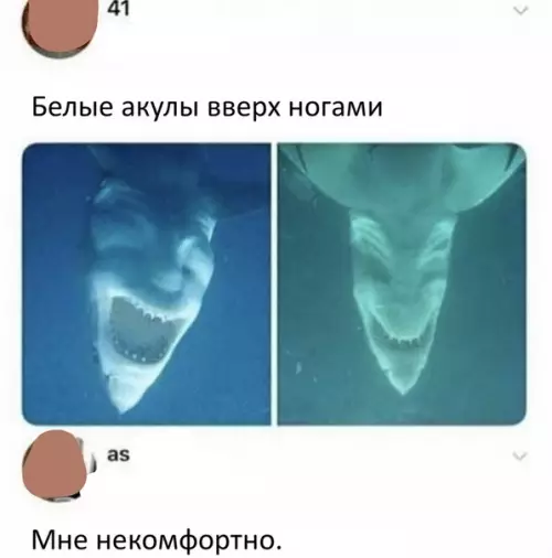 Смешная картинка №366513 *Вверх плaвниками.
