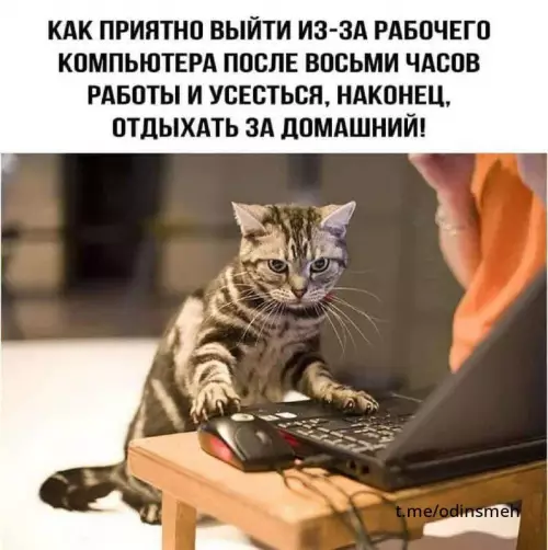 Смешная картинка №662682 картинки