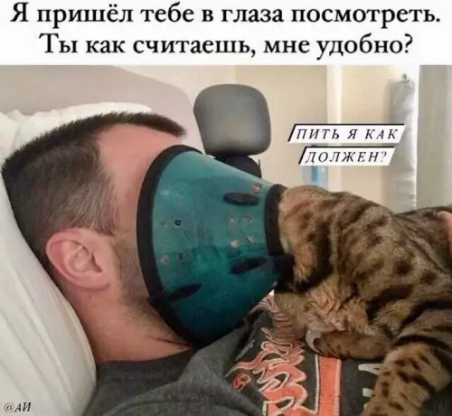 Смешная картинка №752356