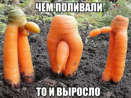 Смешная картинка №208692