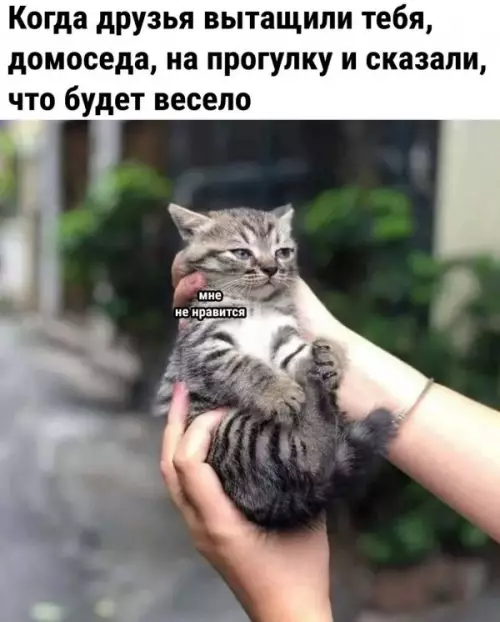 Смешная картинка №659739
