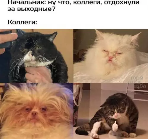 Смешная картинка №736329 Работа