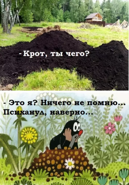 Смешная картинка №682400