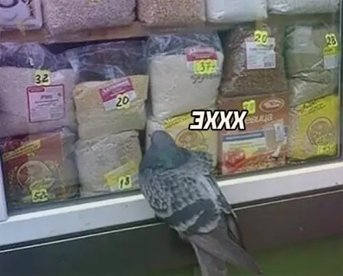 продолжение Смешная картинка №567016