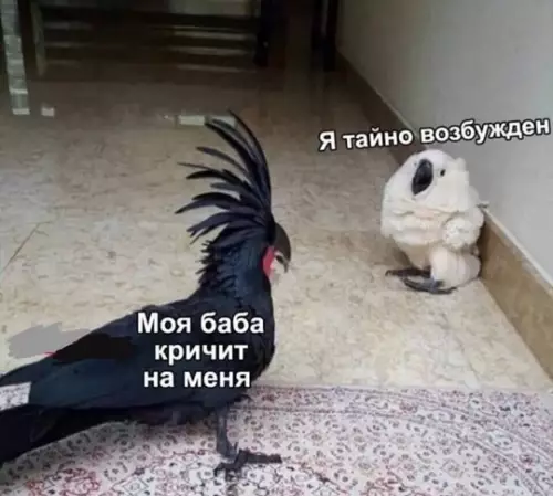 Смешная картинка №780953