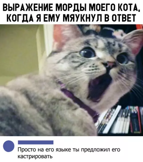 Смешная картинка №317567