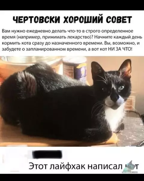 Смешная картинка №330704