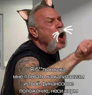 продолжение Смешная картинка №688766 Коротко о моей кошке