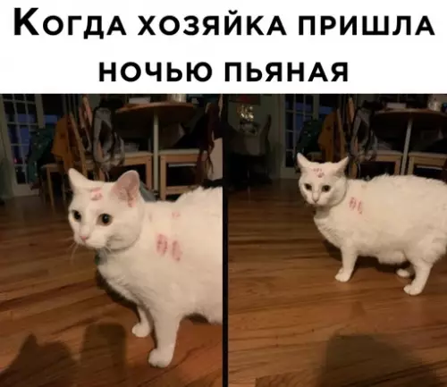 Смешная картинка №673869