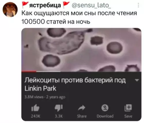 Сны после Википедии — это отдельный вид искусства 🧬 - Как ощущаются мои сны после чтения 100500 статей на ночь.