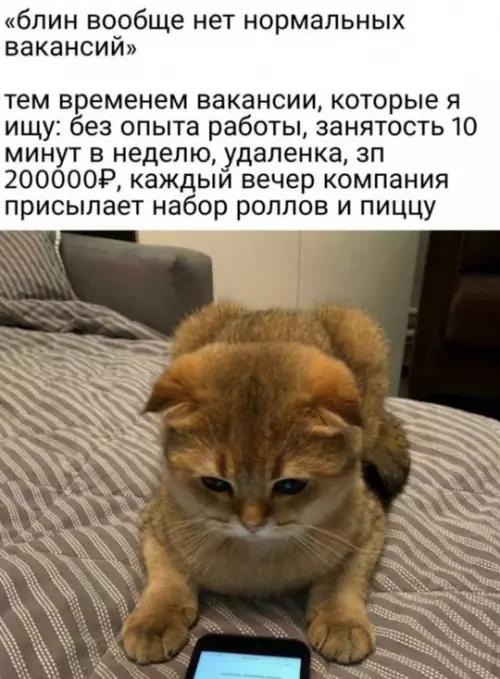 Смешная картинка №761353