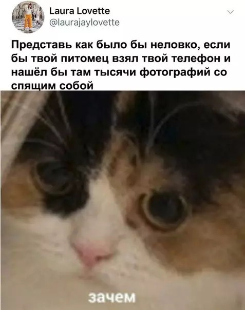 Смешная картинка №536931 Koжaнный извращенец
