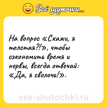 Шутка: На вопрос «Скажи, я толстая?!», чтобы сэкономить время и нервы, всегда отвечай: «Да, я сволочь!».