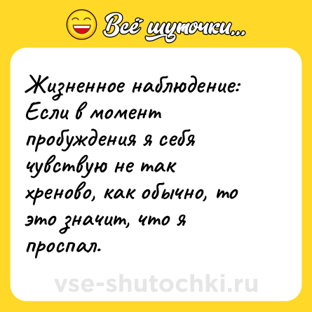 Шутка: Жизненное наблюдение:<br>Если в момент пробуждения я себя чувствую не так хреново, как обычно, то это значит, что я проспал.