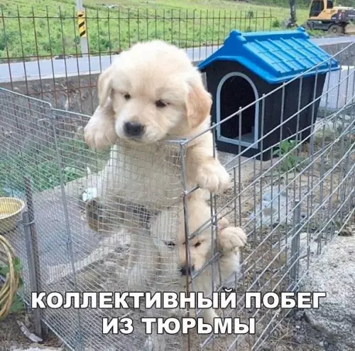 Смешная картинка №188518